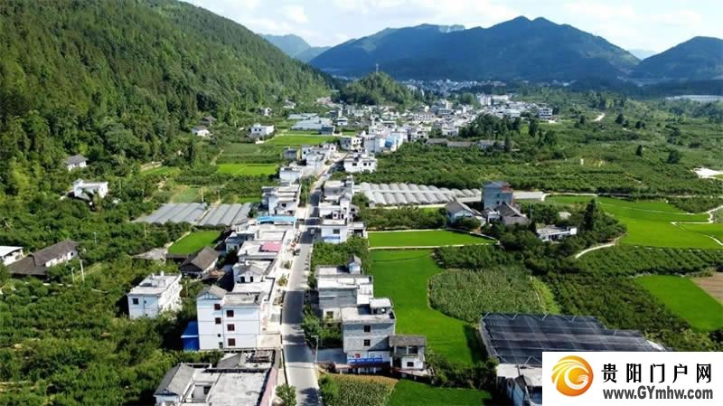 东西协作｜沿河：“山”呼“海”应赴新程(图9)