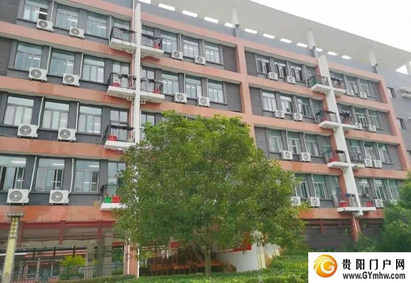 东西协作｜沿河：“山”呼“海”应赴新程(图12)