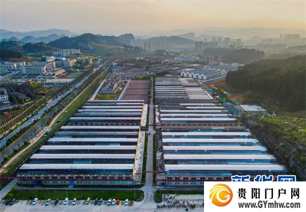 张铭代表:以“3+6+1”产业组合推进金沙强县计划(图2) 张铭代表:以“3+6+1”产业组合推进金沙强县计划(图2)