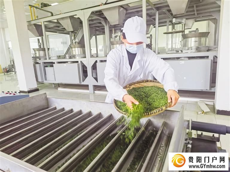 水城“精准滴灌”发展新质生产力 聚才“强磁场”加速成型(图3) 水城“精准滴灌”发展新质生产力 聚才“强磁场”加速成型(图3)