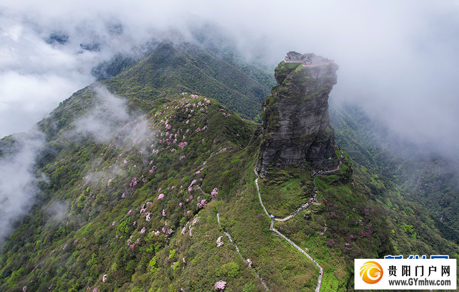 贵州梵净山:繁花似锦醉游人(图3) 贵州梵净山:繁花似锦醉游人(图3)