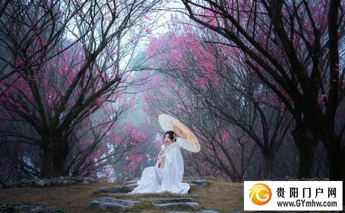 本周六开园！贵州梅园游玩攻略(图1)