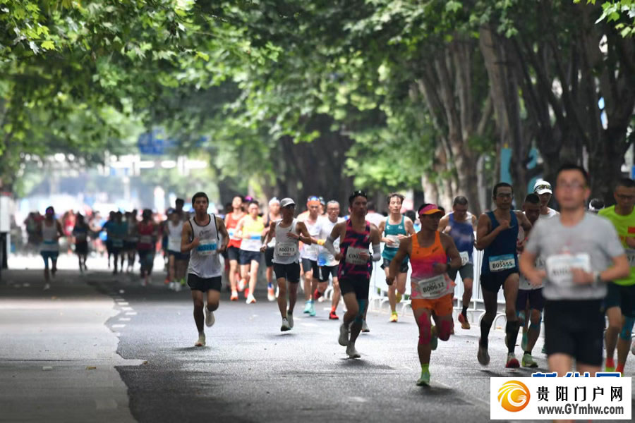 奔跑在19℃的夏天 “六马”跑出体旅融合发展“加速度”(图2) 奔跑在19℃的夏天 “六马”跑出体旅融合发展“加速度”(图2)