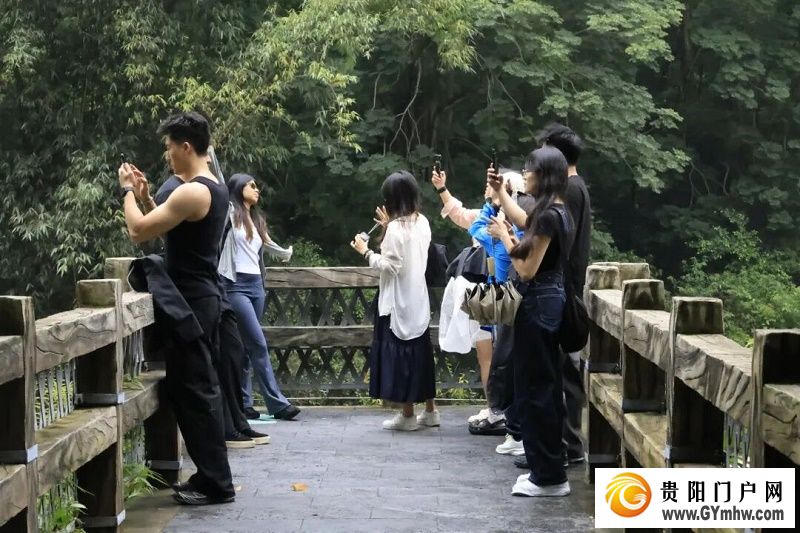 “500万+”成常态! 黄果树景区游客量三年连增(图6) “500万+”成常态! 黄果树景区游客量三年连增(图6)