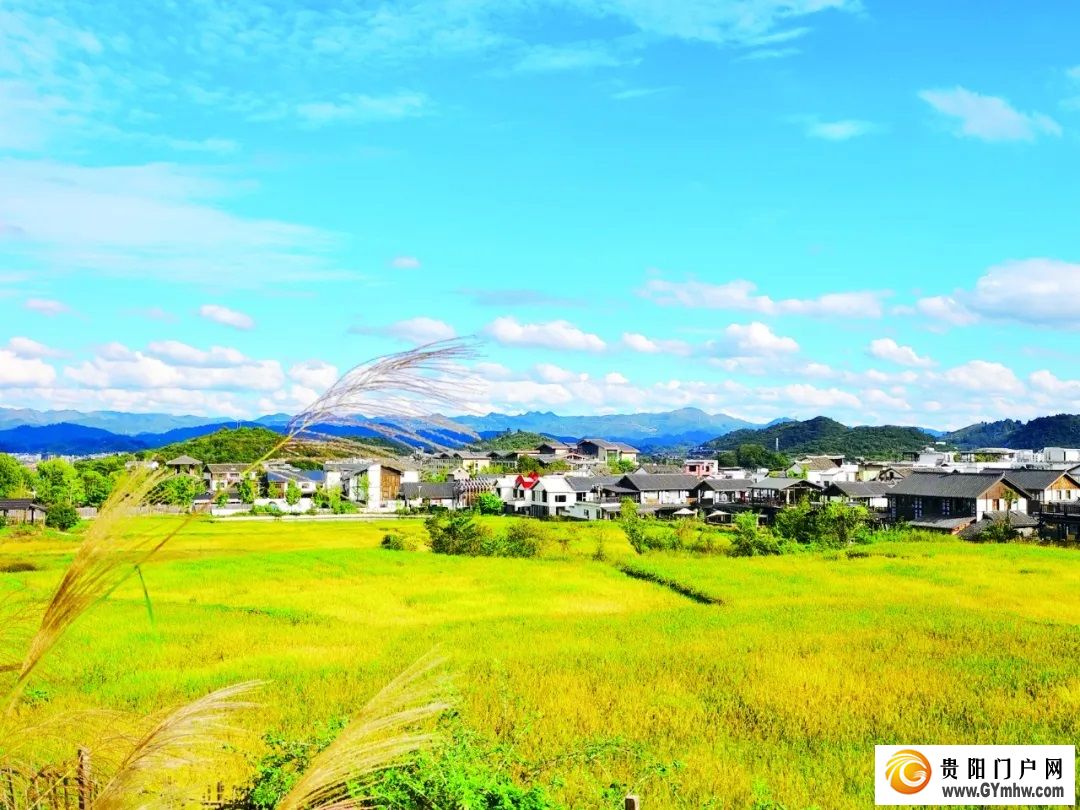 花溪：龙井村变样了
