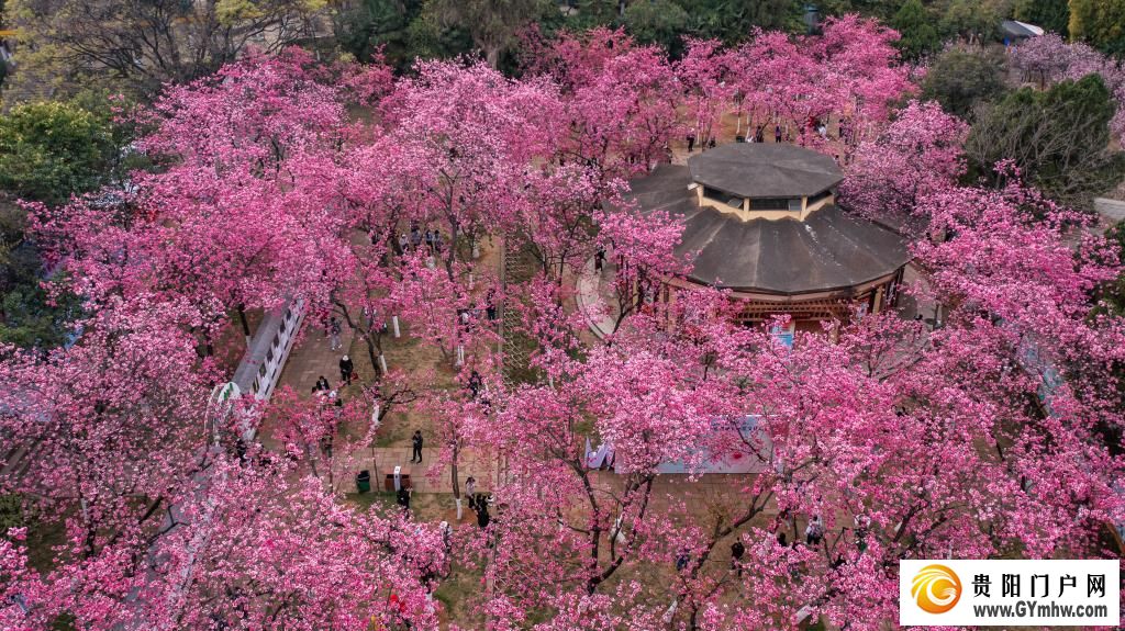 快出发！这些地方陆续美成仙境！(图14)